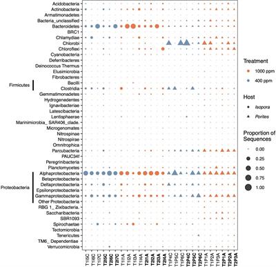 Effects of Ocean Acidification on Coral Endolithic Bacterial Communities in Isopora palifera and Porites lobata